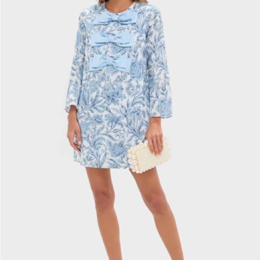 Tuckernuck Blue Floral Dress with Bows #bridgerton #preppy #dressy